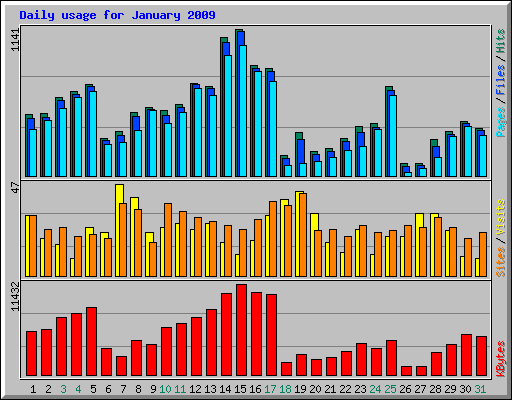 Daily usage for January 2009