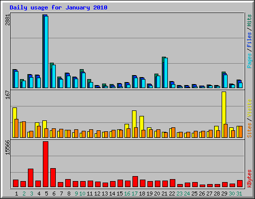 Daily usage for January 2010