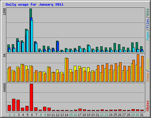 Daily usage for January 2011