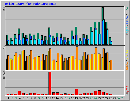 Daily usage for February 2013