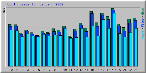 Hourly usage for January 2009