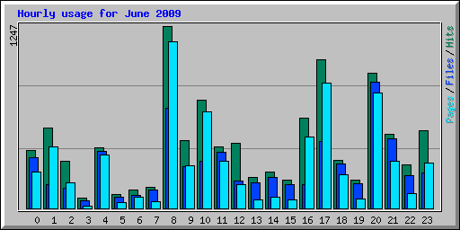 Hourly usage for June 2009