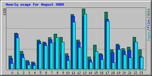 Hourly usage for August 2009
