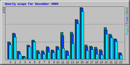 Hourly usage for December 2009
