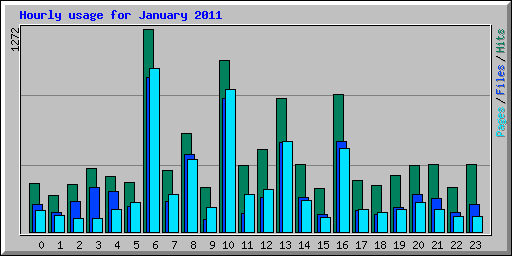 Hourly usage for January 2011