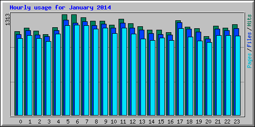 Hourly usage for January 2014