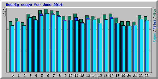 Hourly usage for June 2014