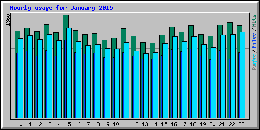 Hourly usage for January 2015