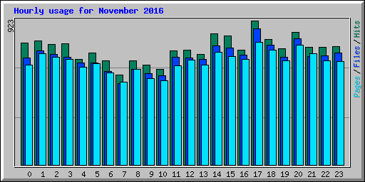 Hourly usage for November 2016