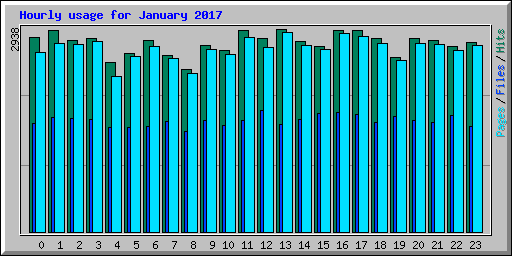 Hourly usage for January 2017