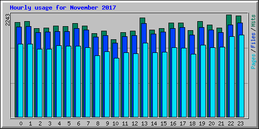 Hourly usage for November 2017